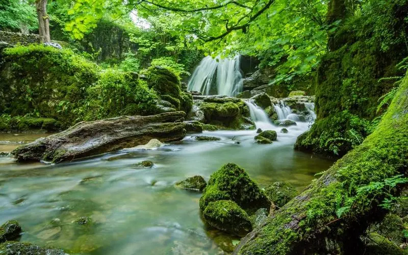 可靠性可靠性